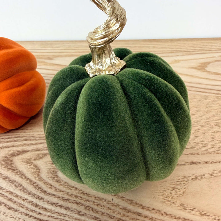 Velvet Harvest Pumpkin, Small
