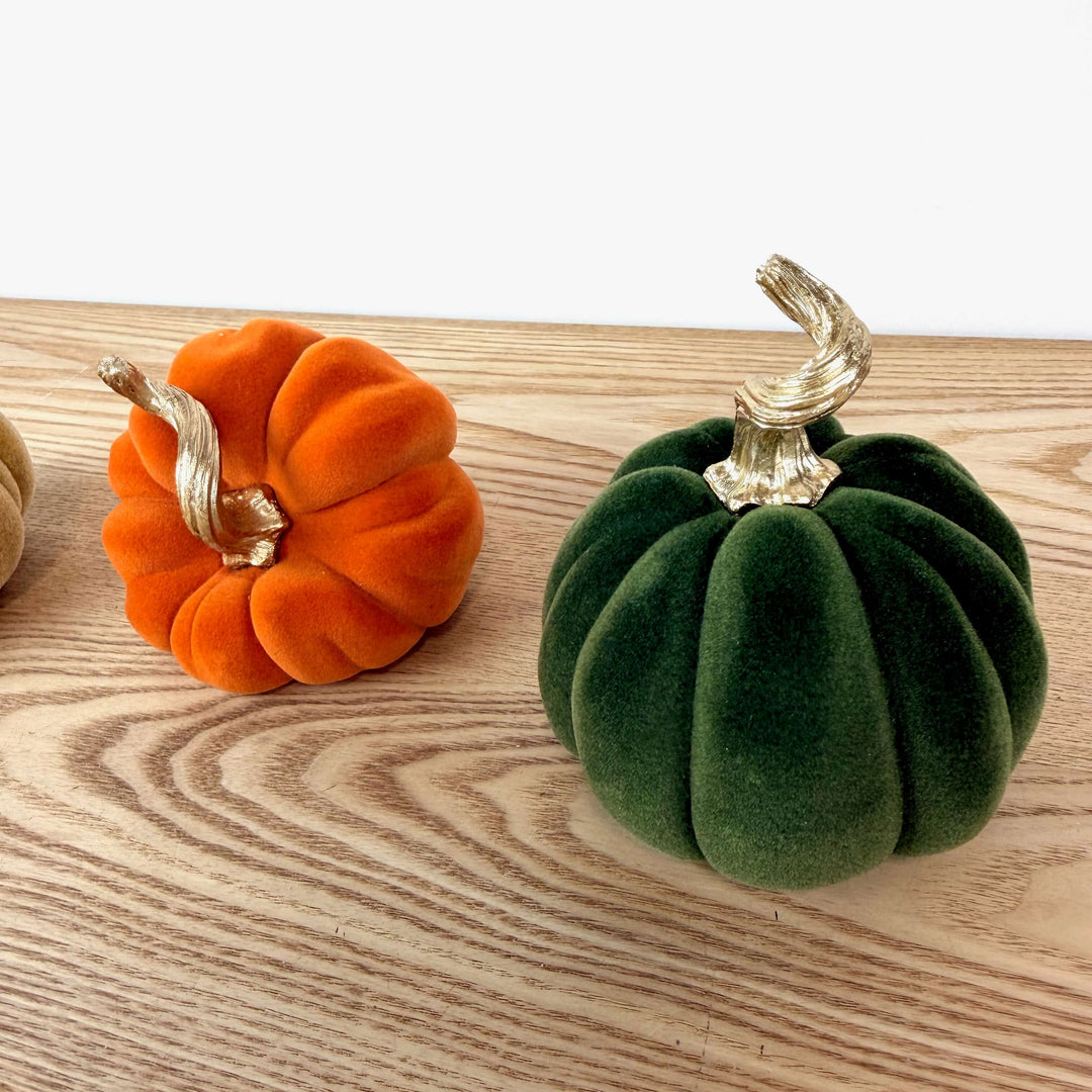 Velvet Harvest Pumpkin, Small