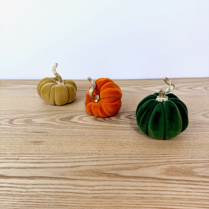 Velvet Harvest Pumpkin, Small