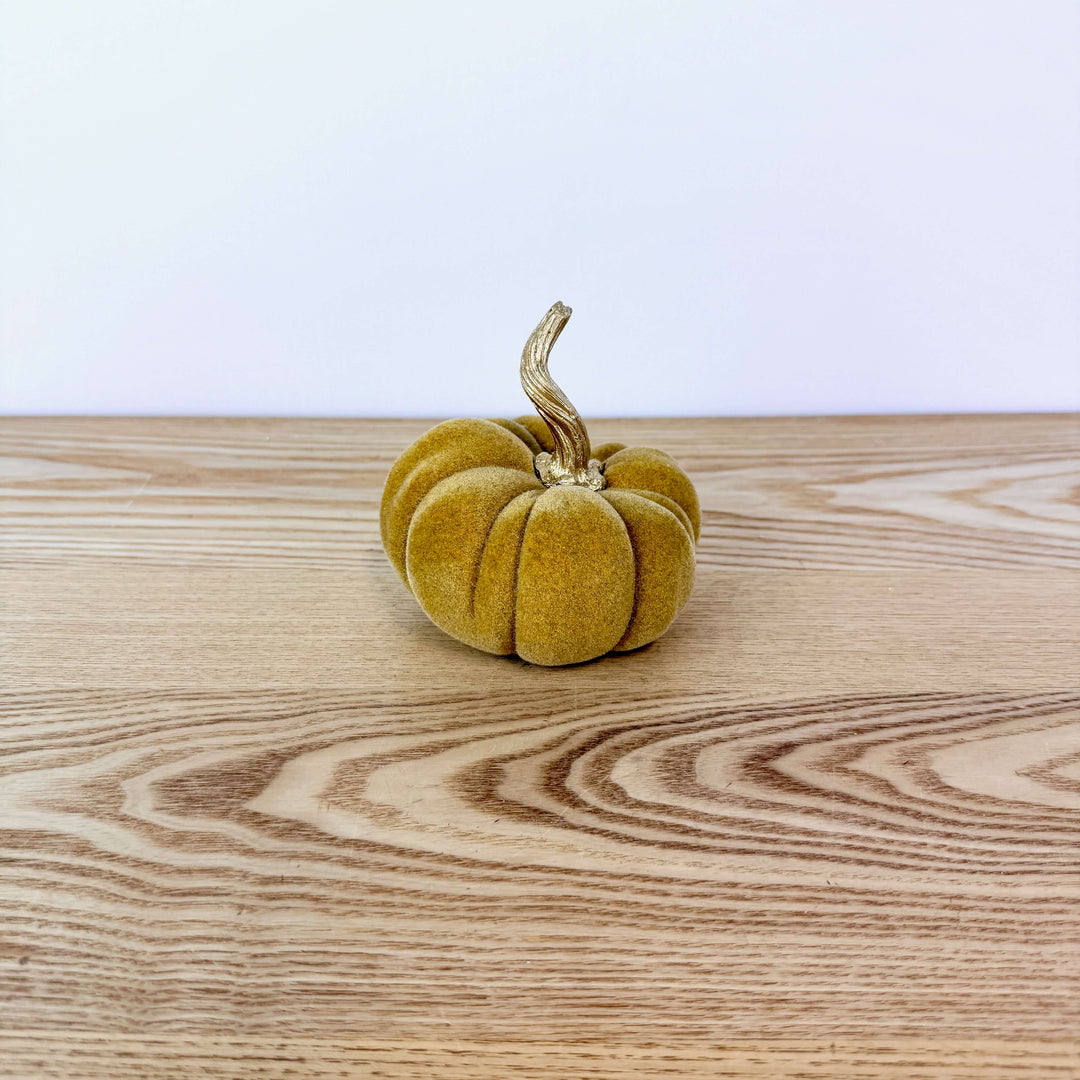 Velvet Harvest Pumpkin, Small