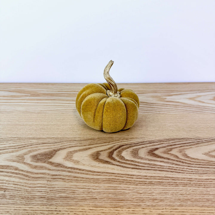 Velvet Harvest Pumpkin, Small