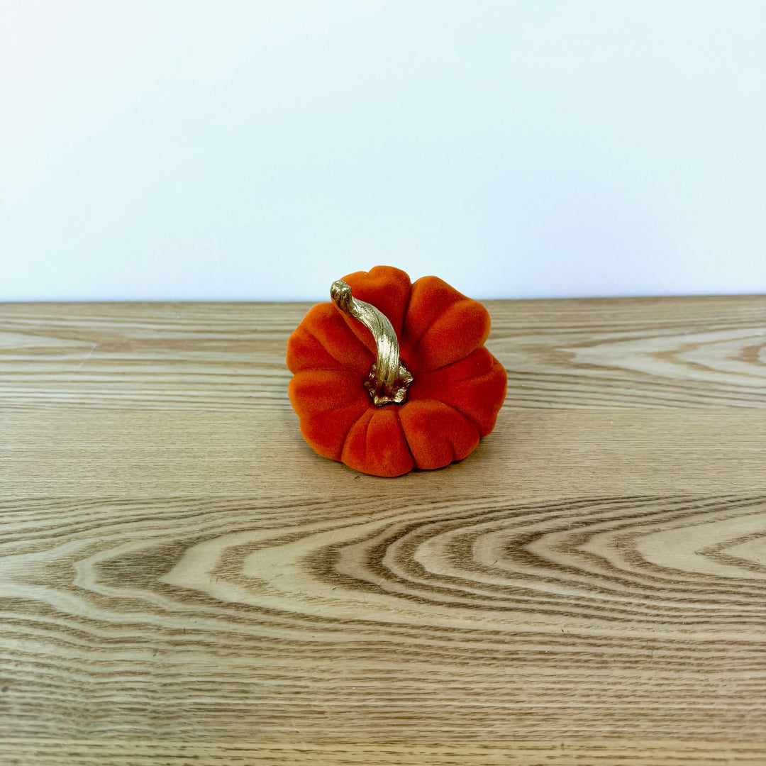 Velvet Harvest Pumpkin, Small