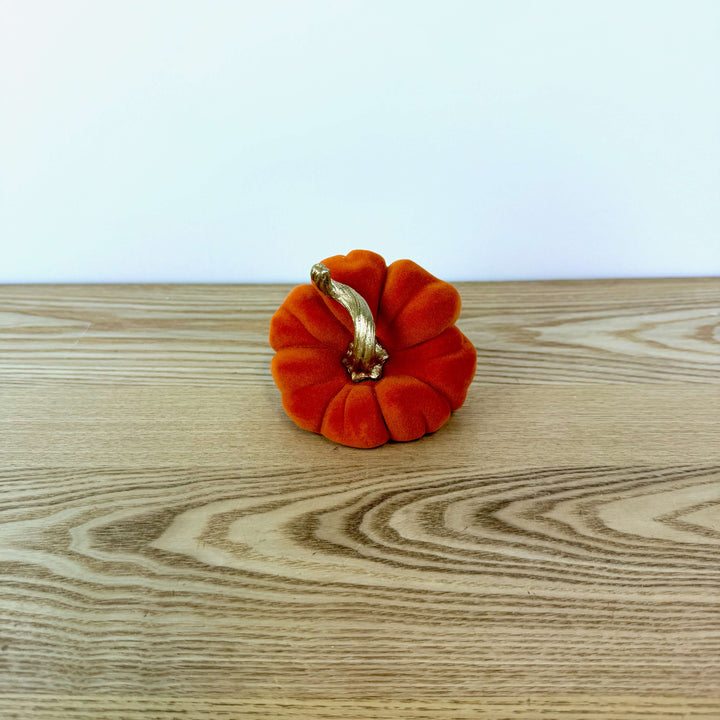 Velvet Harvest Pumpkin, Small