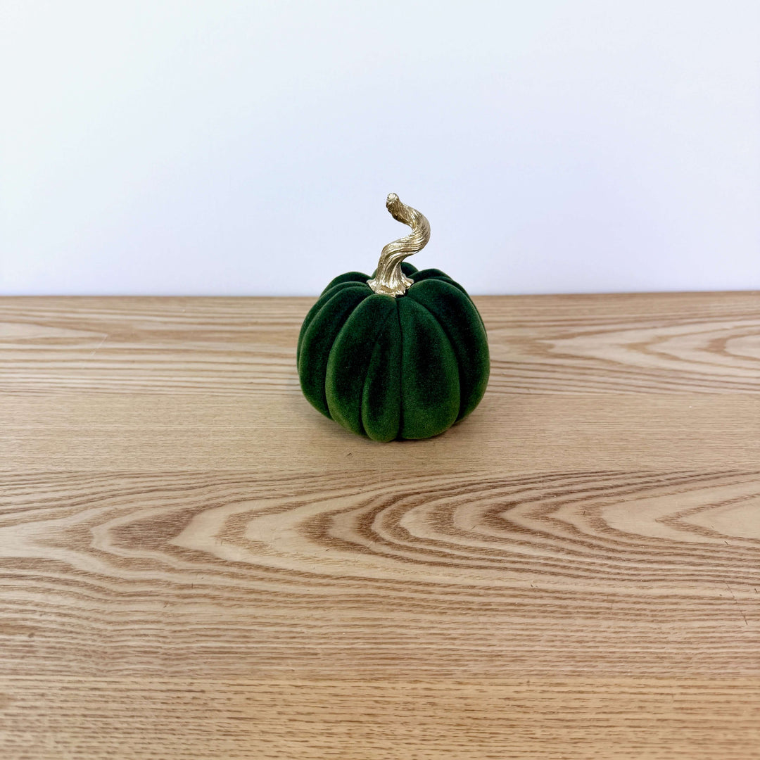 Velvet Harvest Pumpkin, Small