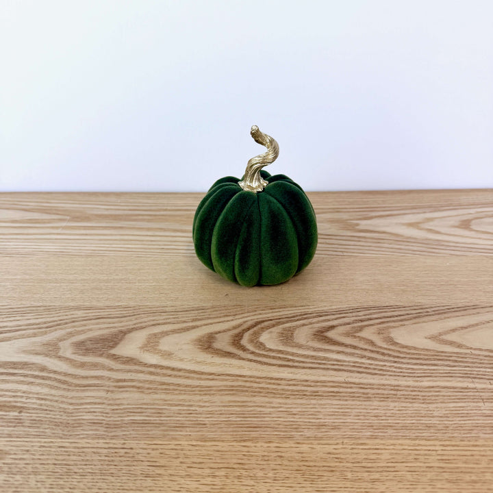 Velvet Harvest Pumpkin, Small