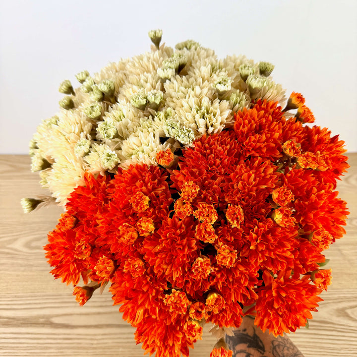 Mum Bush - 2 Colors