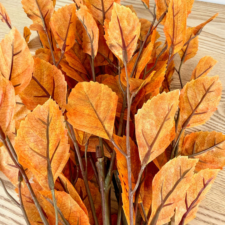 Leaf Bundle