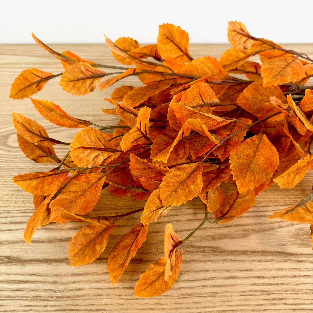 Leaf Bundle