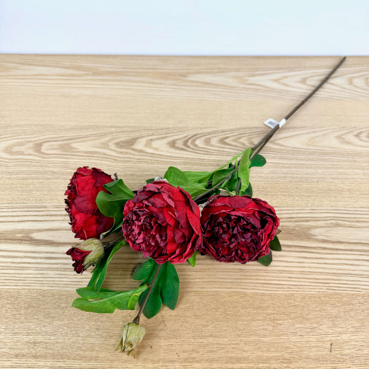 Large Peony Spray
