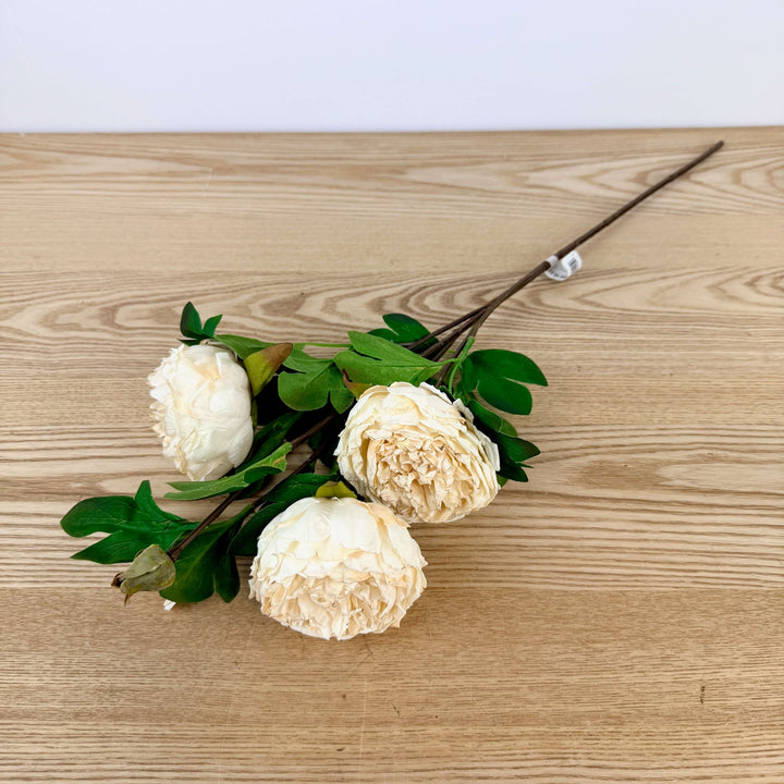Large Peony Spray