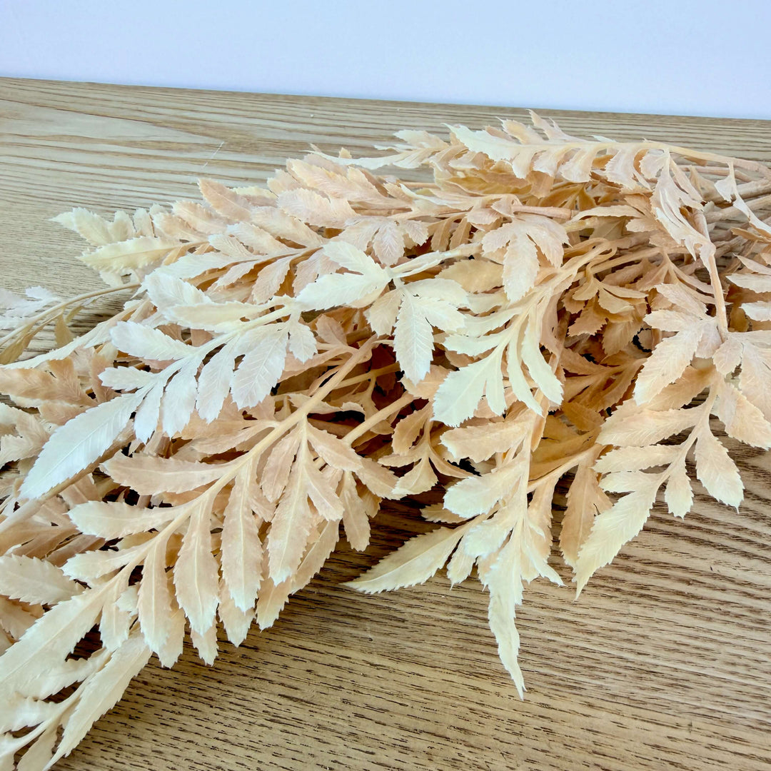 Fall Fern