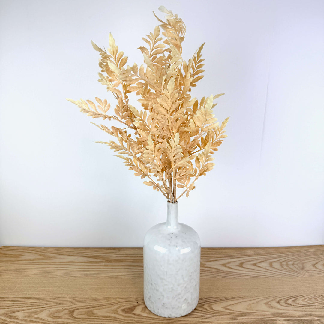 Fall Fern