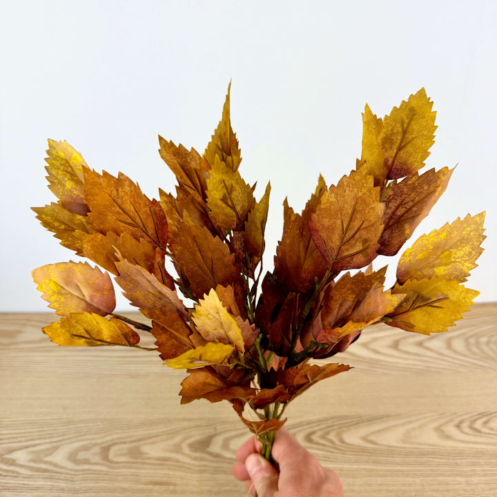 Birch Bundle