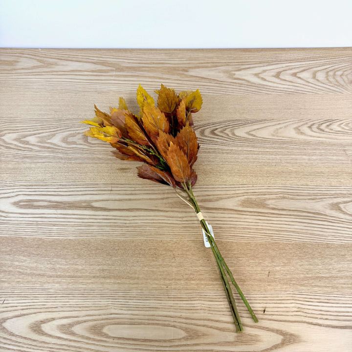 Birch Bundle