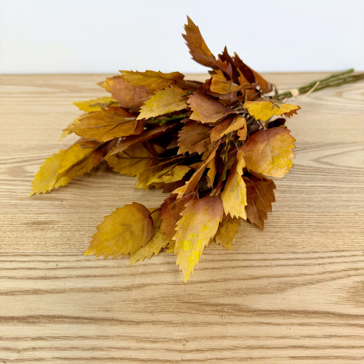 Birch Bundle