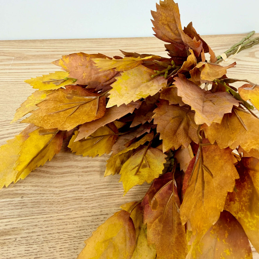 Birch Bundle