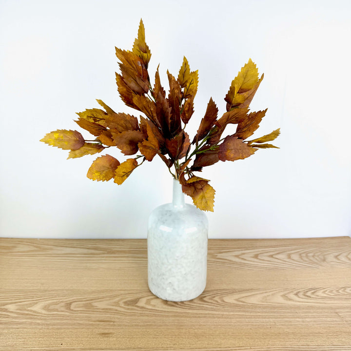 Birch Bundle