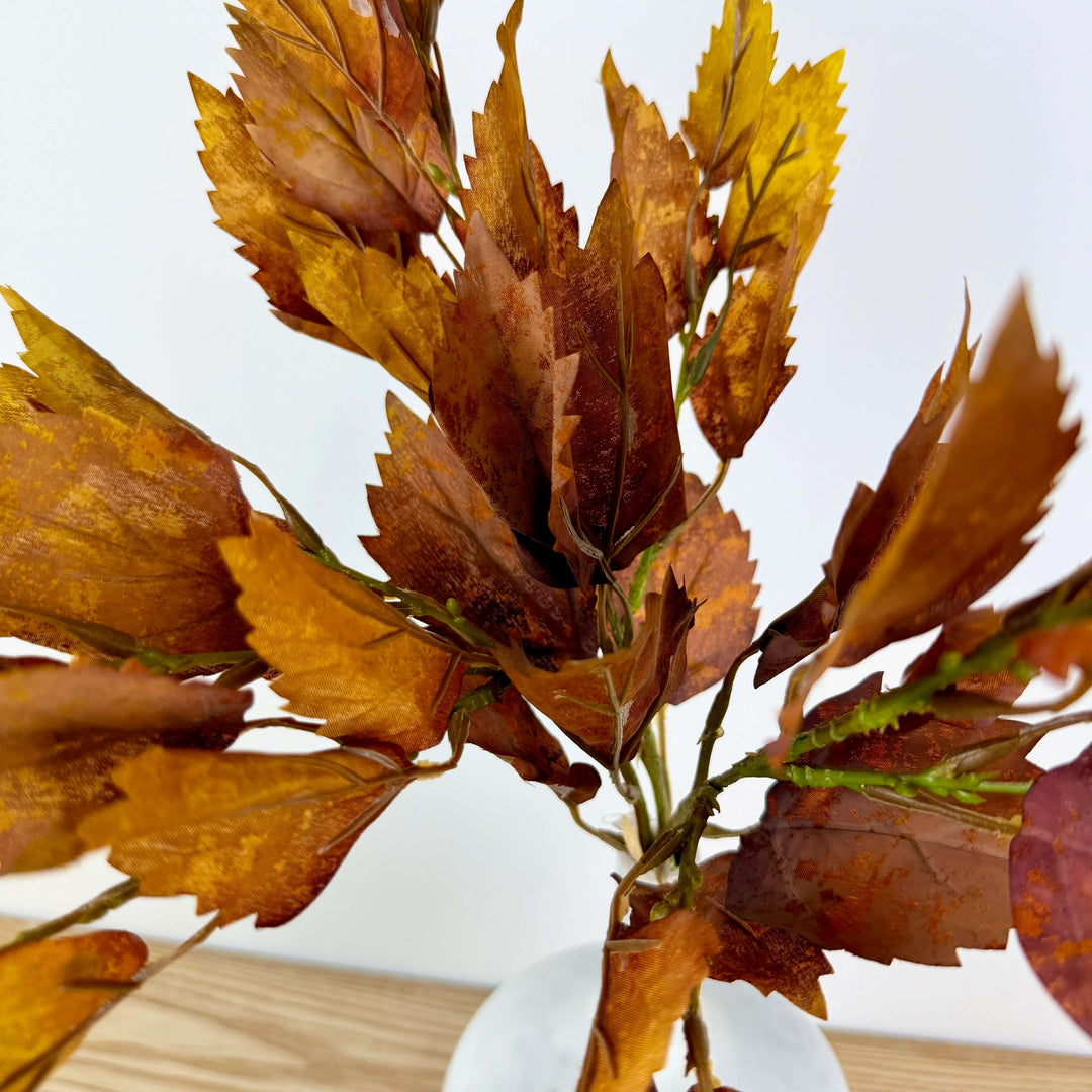 Birch Bundle
