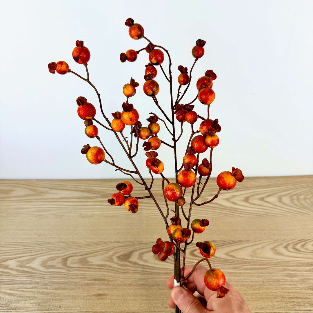 Mini Pomegranate - 2 Styles