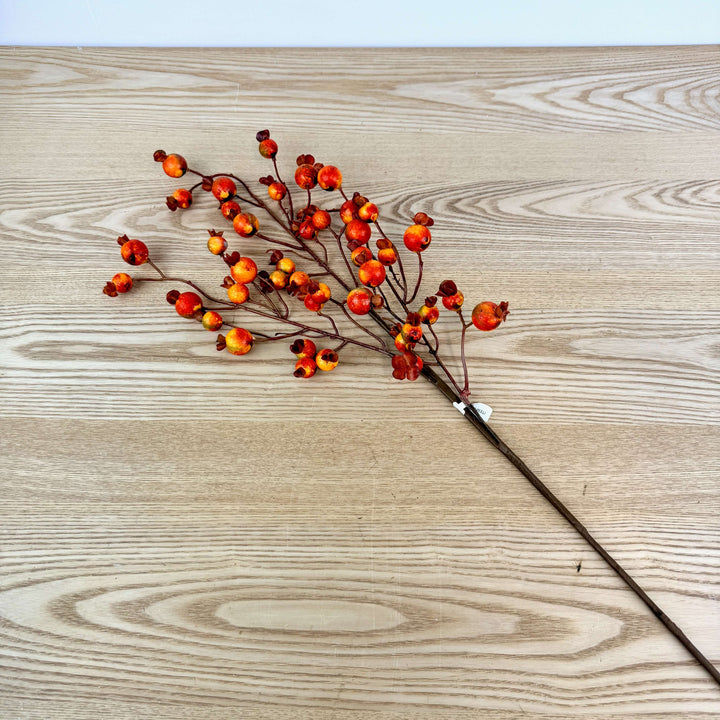 Mini Pomegranate - 2 Styles