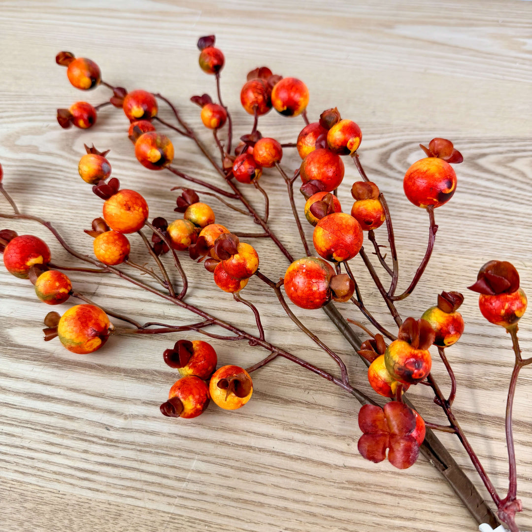 Mini Pomegranate - 2 Styles