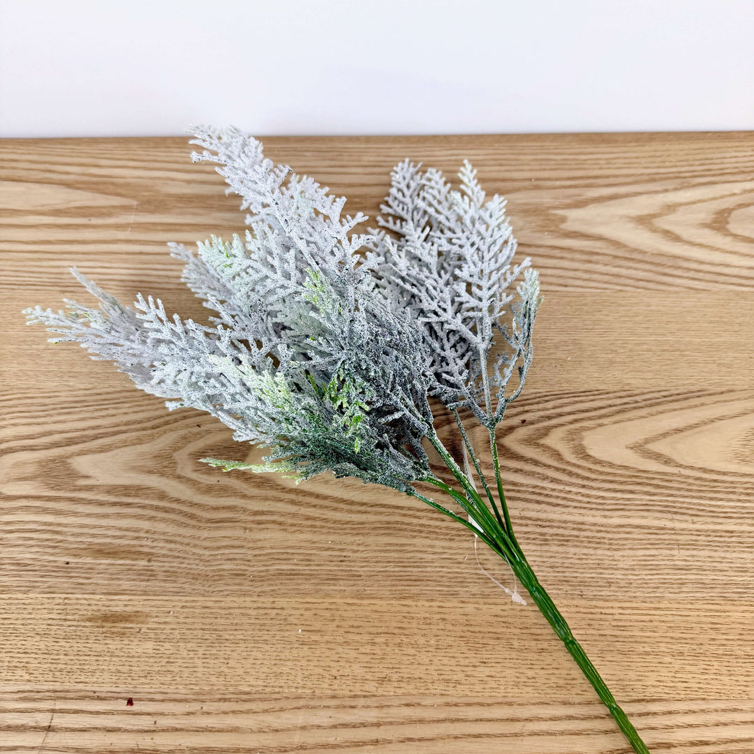 Snow Cypress