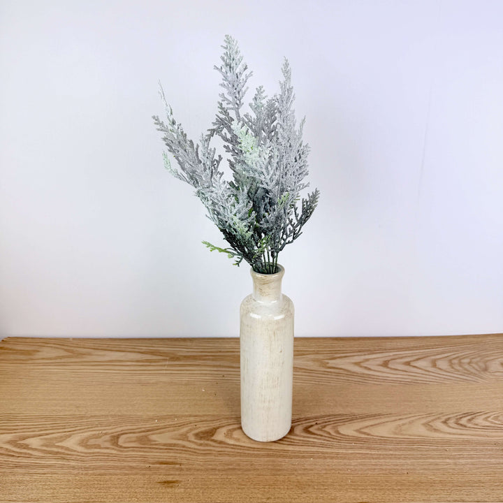Snow Cypress