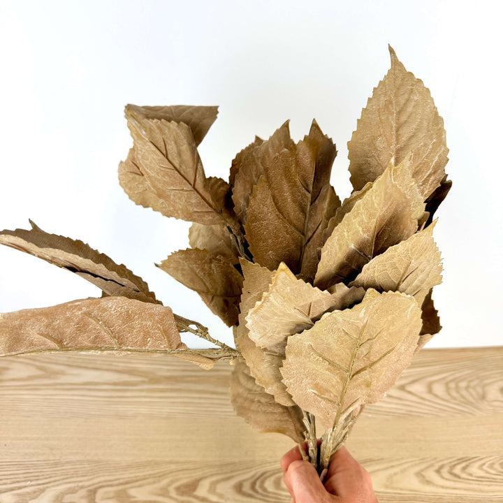 Hydrangea Leaves