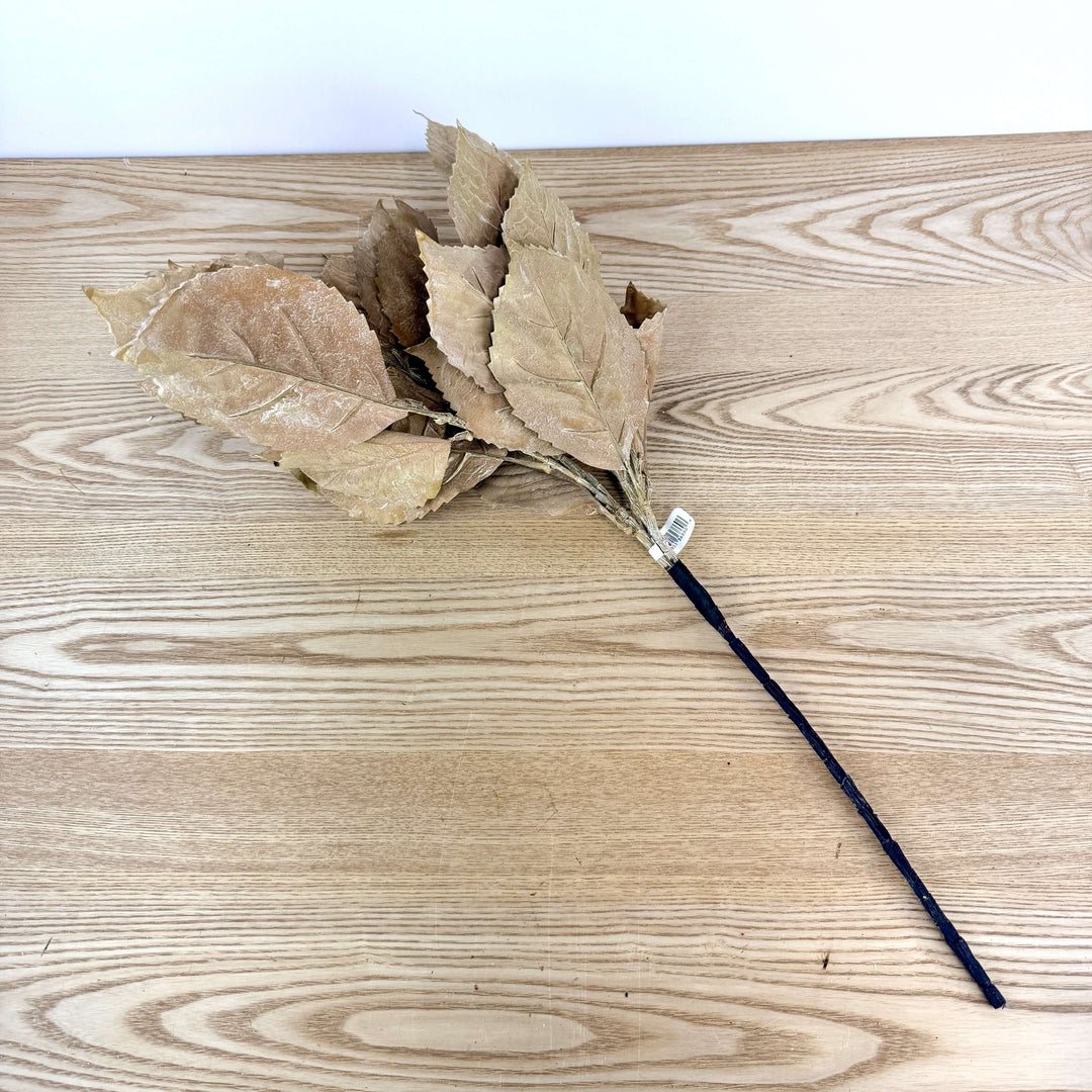 Hydrangea Leaves