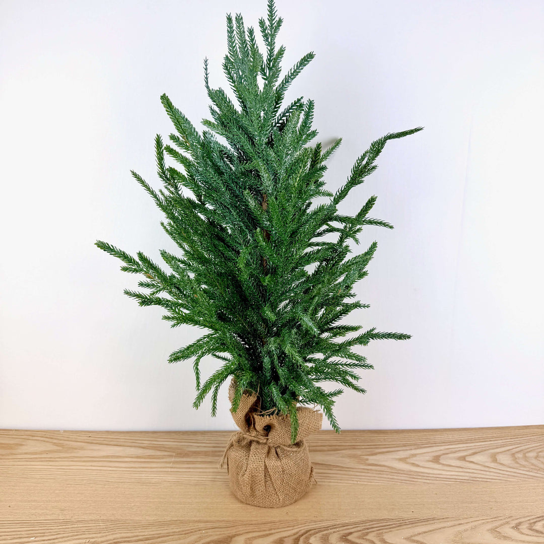 Frosted Austrian Pine Christmas Trees