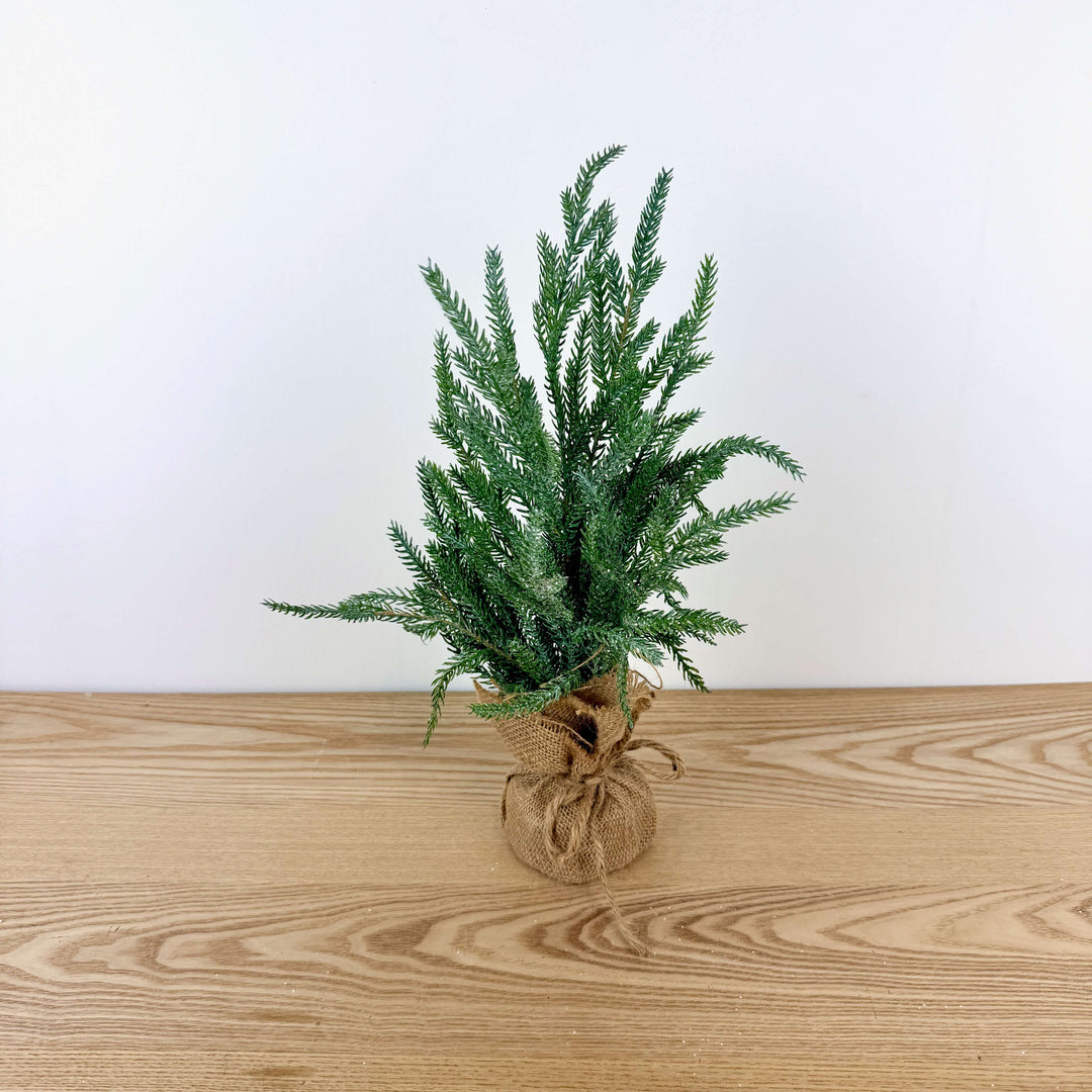 Frosted Austrian Pine Christmas Trees