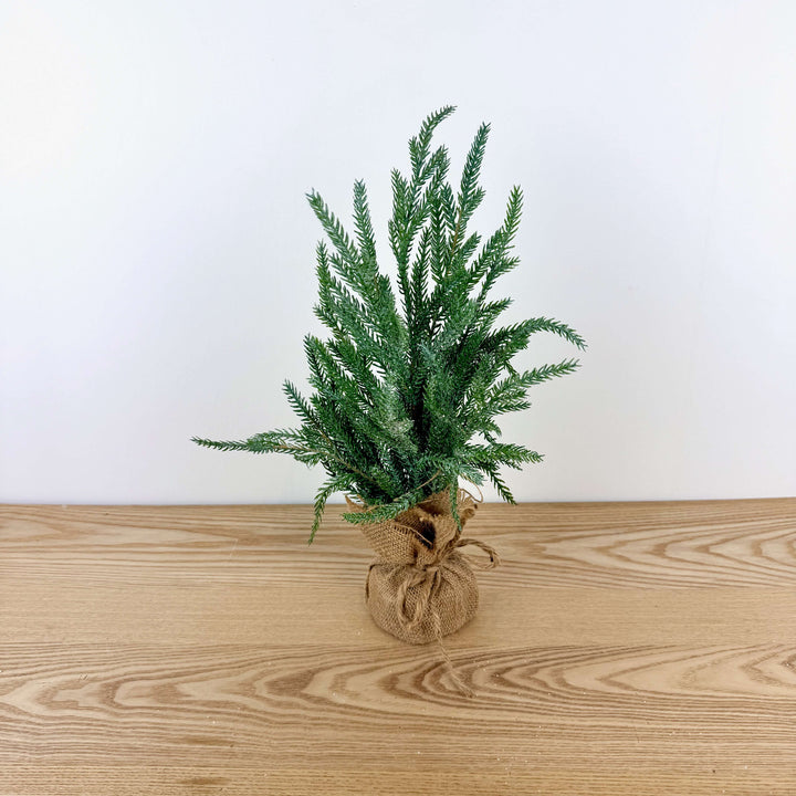 Frosted Austrian Pine Christmas Trees