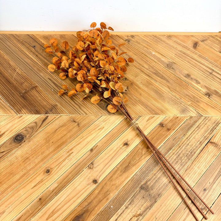 Eucalyptus Bundle