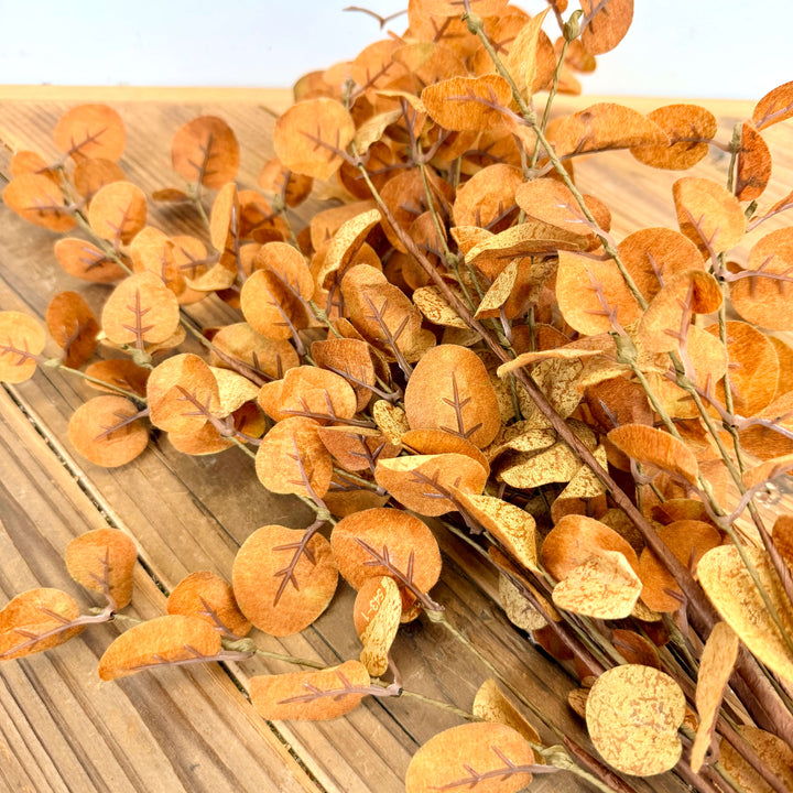 Eucalyptus Bundle