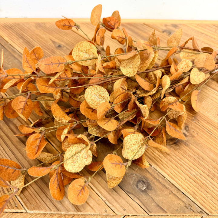 Eucalyptus Bundle