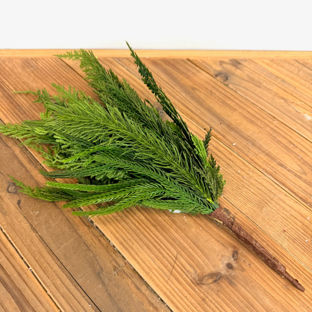 Cedar Collection-Pick