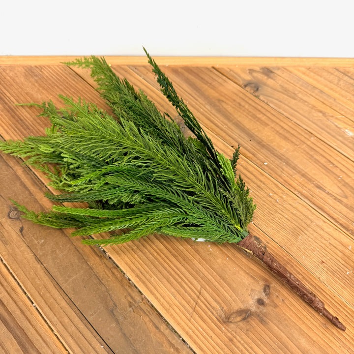 Cedar Collection-Pick