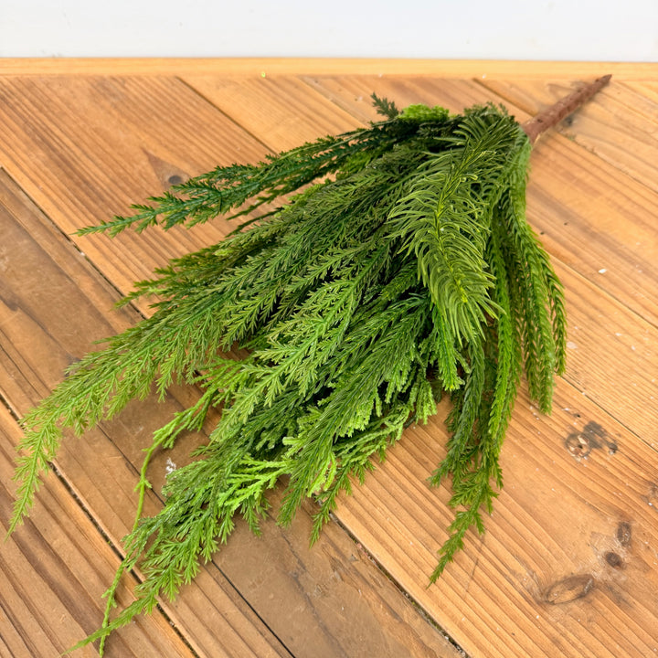 Cedar Collection-Pick