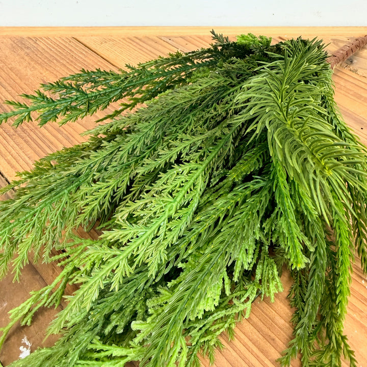 Cedar Collection-Pick