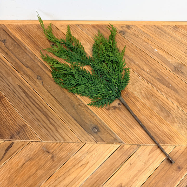 Cedar Collection - 24" Spray