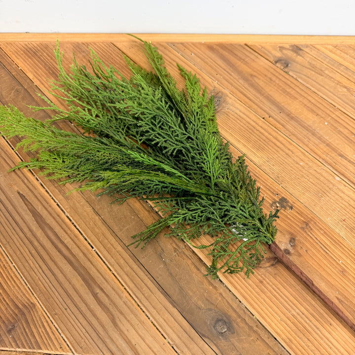 Cedar Collection - 26" Spray