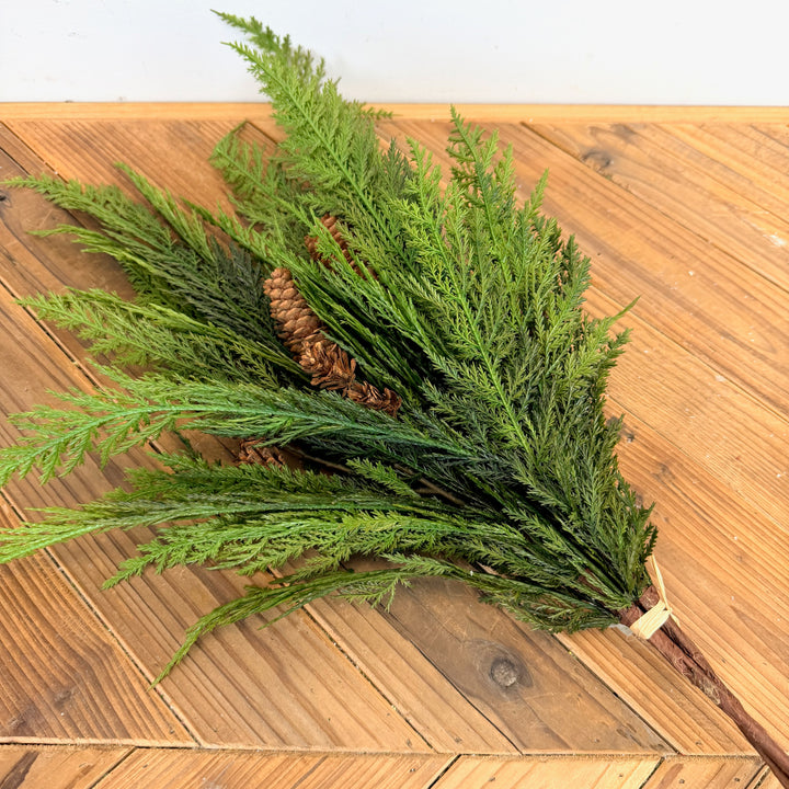 Cedar Bush
