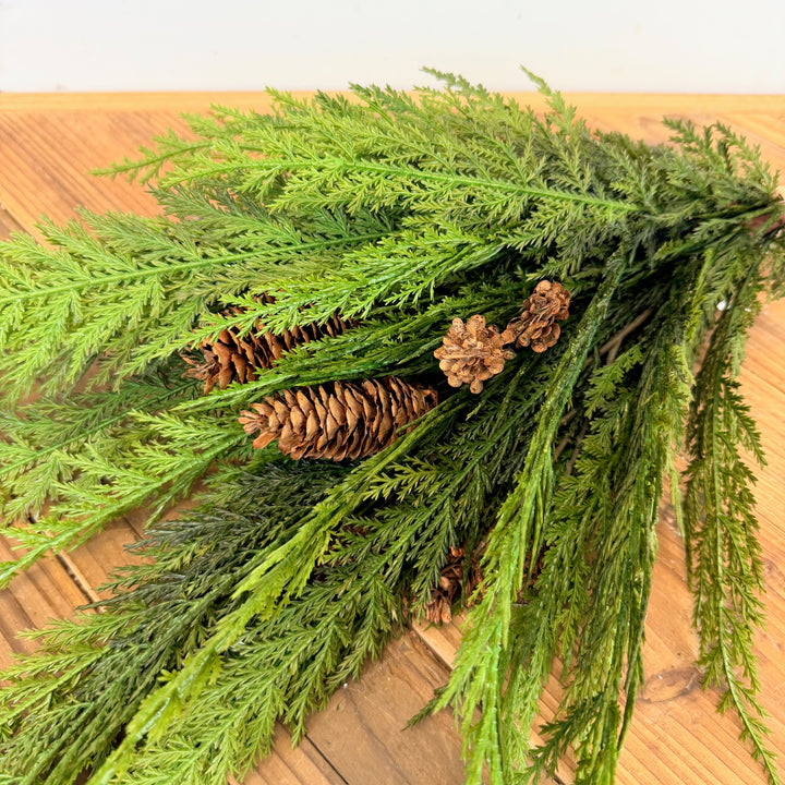 Cedar Bush