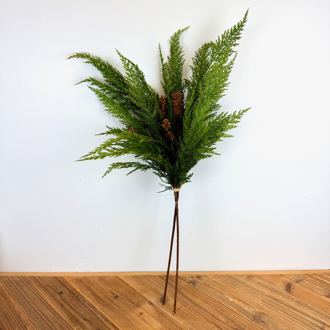 Cedar Bush