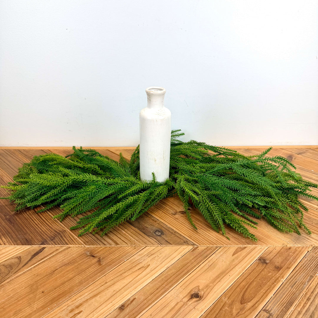 Norfolk Pine Centerpiece