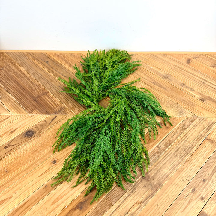 Norfolk Pine Centerpiece