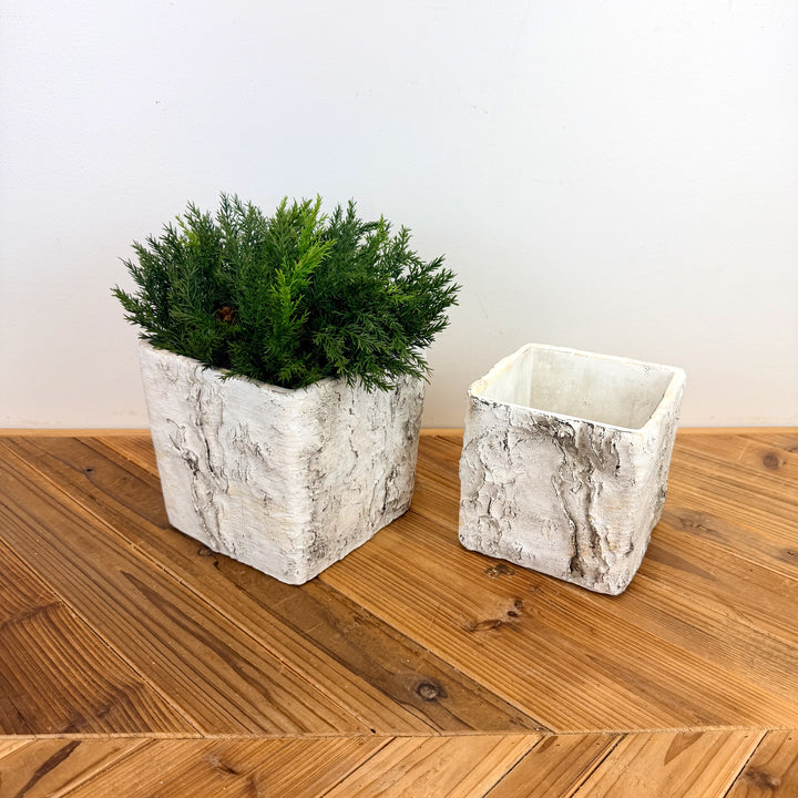 Birch Look Planter, 2 sizes