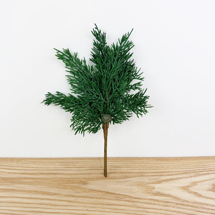 Cypress Pine w/Pods Pick