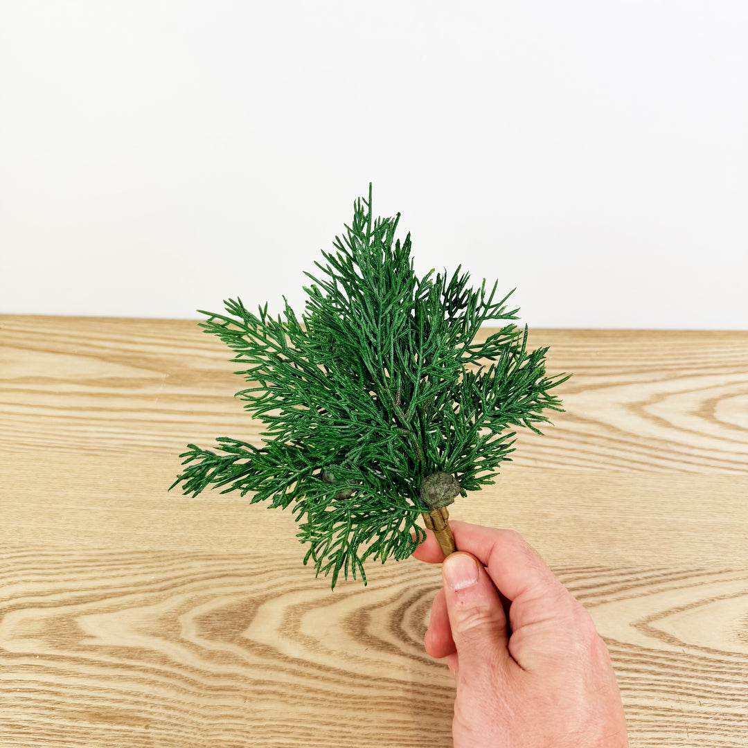 Cypress Pine w/Pods Pick