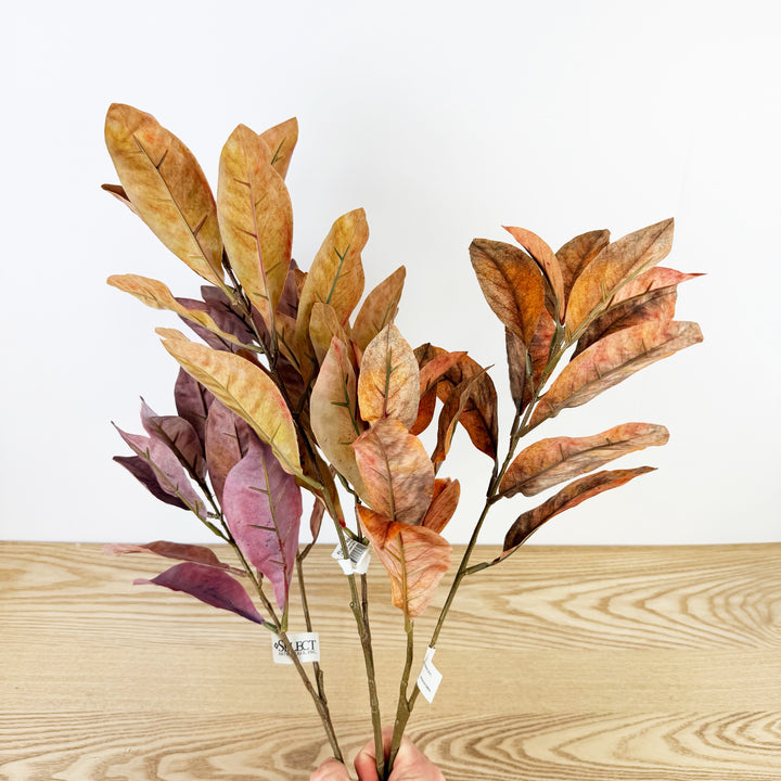 Croton Spray, 3 colors